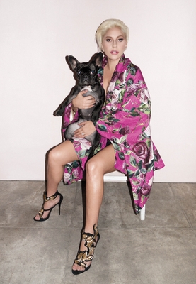 【即日発送】 Terry Richardson× Baby-G colette GAGAIMAGES